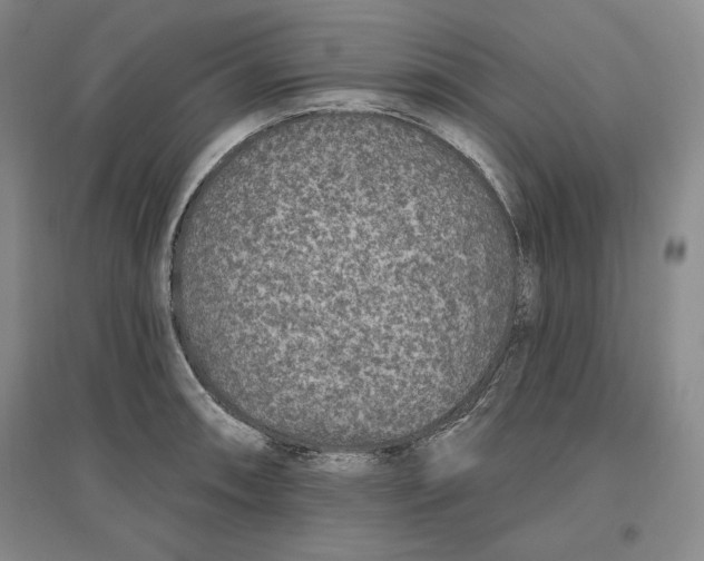 X0000096971090200802291116