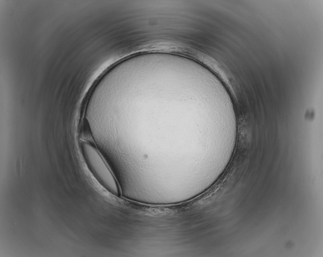 X0000096971091200802291116