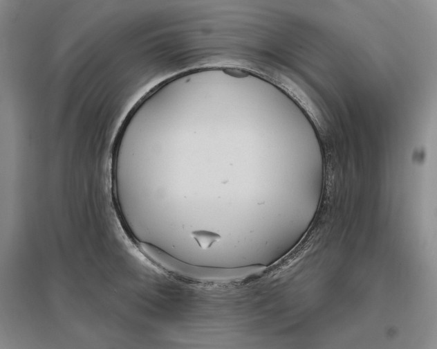 X0000096971092200802291116