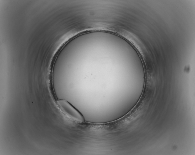 X0000096971093200802291116