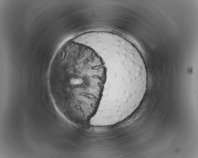 X0000096971095200802291116