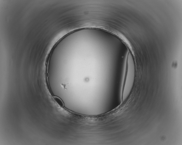 X0000096971096200802291116