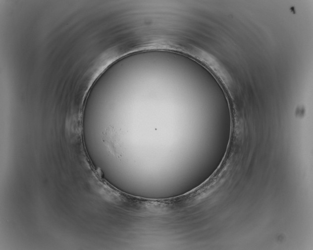 X0000096971097200802291116