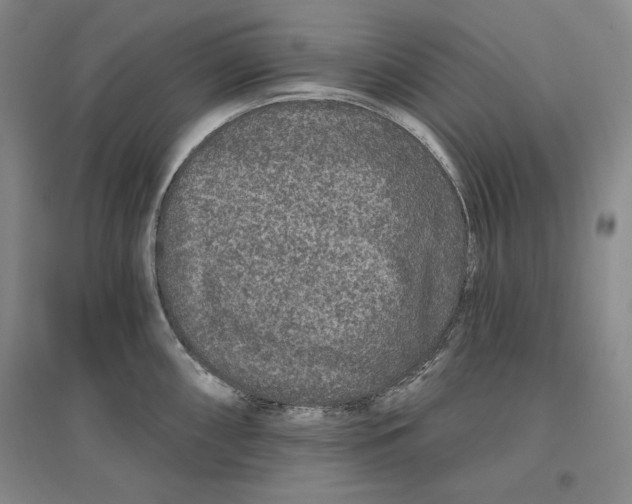 X0000096971098200802291116