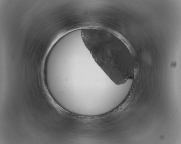 X0000096971099200802291116