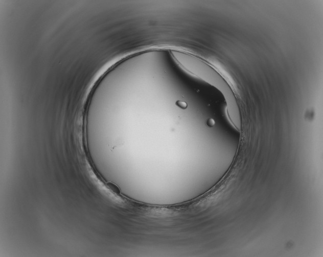 X0000096971100200802291116