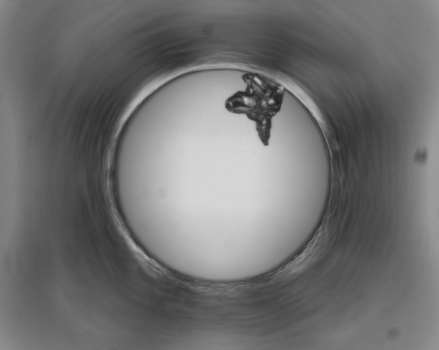 X0000096971101200802291116