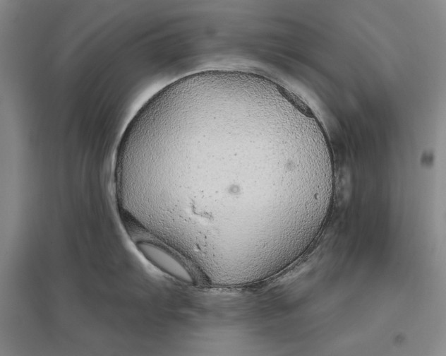 X0000096971103200802291116