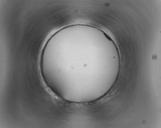 X0000096971104200802291116