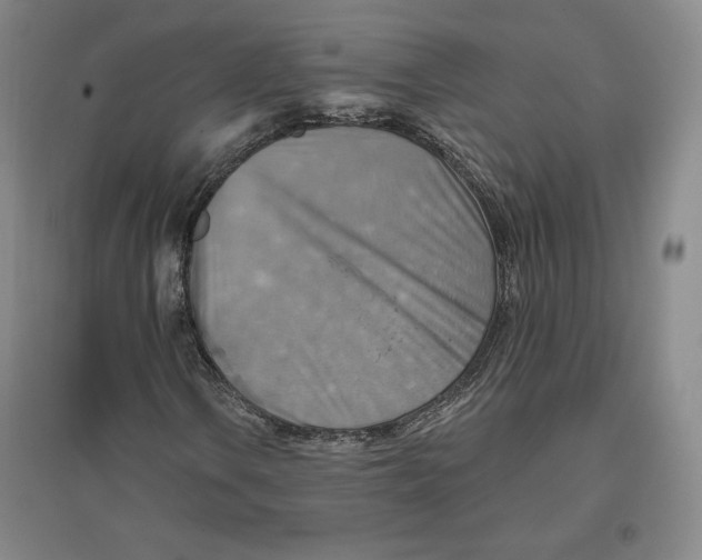 X0000096971106200802291115