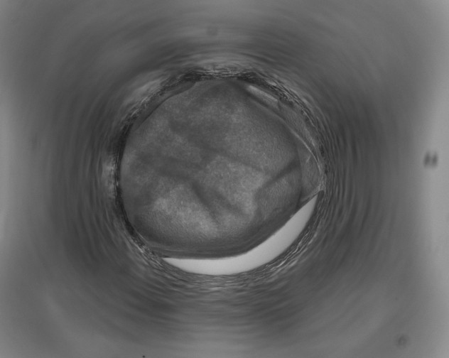 X0000096971108200802291115