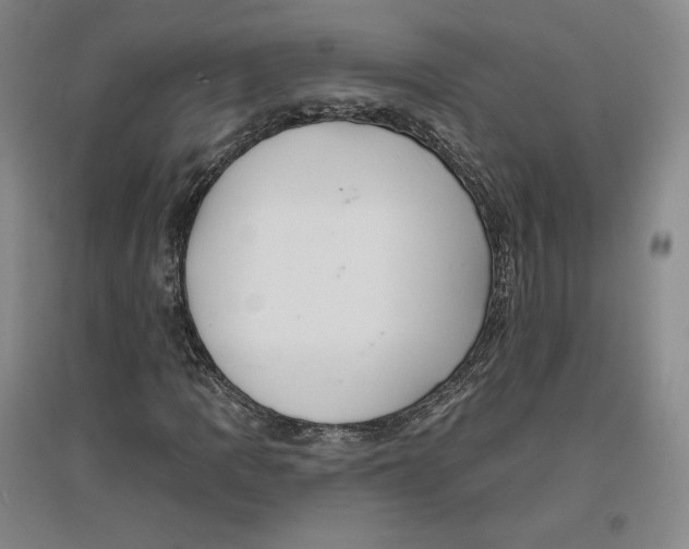 X0000096971109200802291115