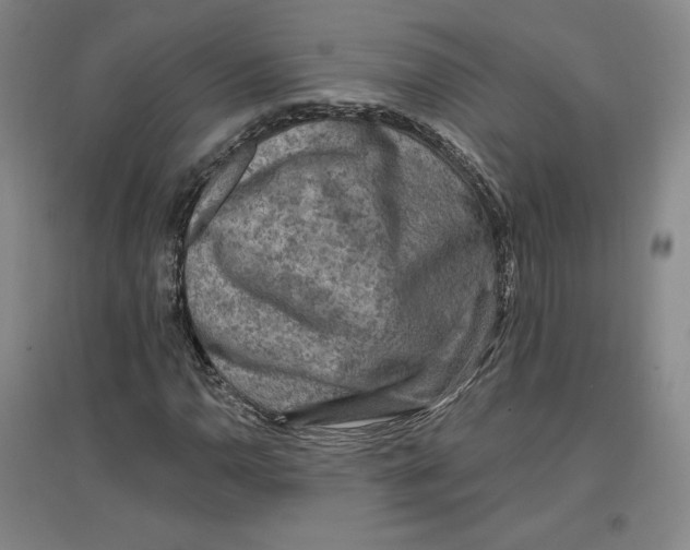 X0000096971110200802291115