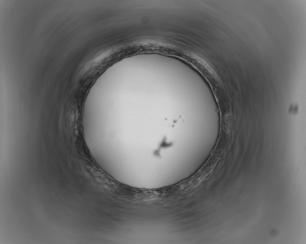 X0000096971111200802291115