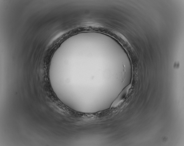 X0000096971112200802291115