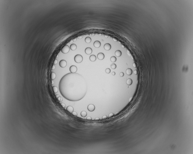 X0000096971113200802291115