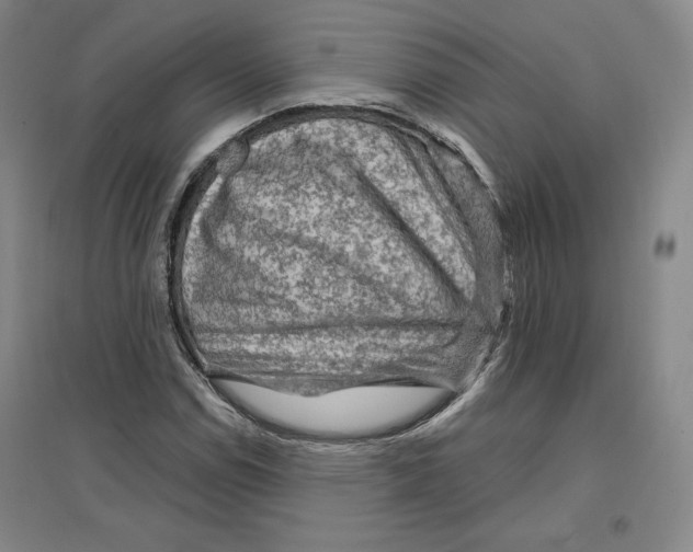 X0000096971114200802291115