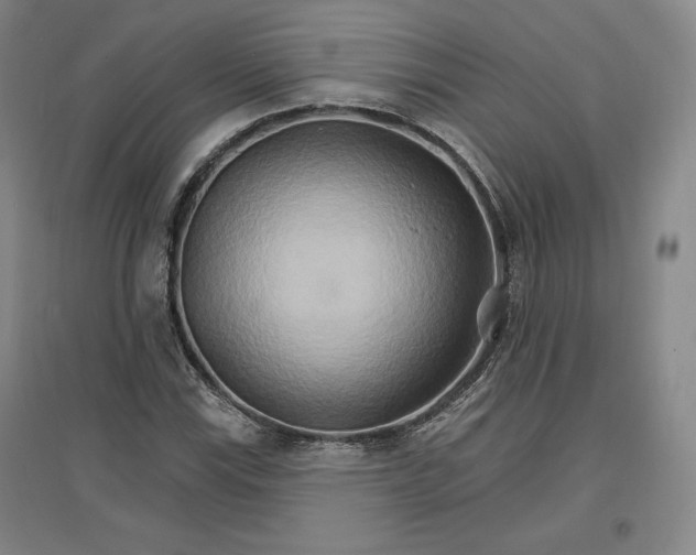 X0000096971115200802291115