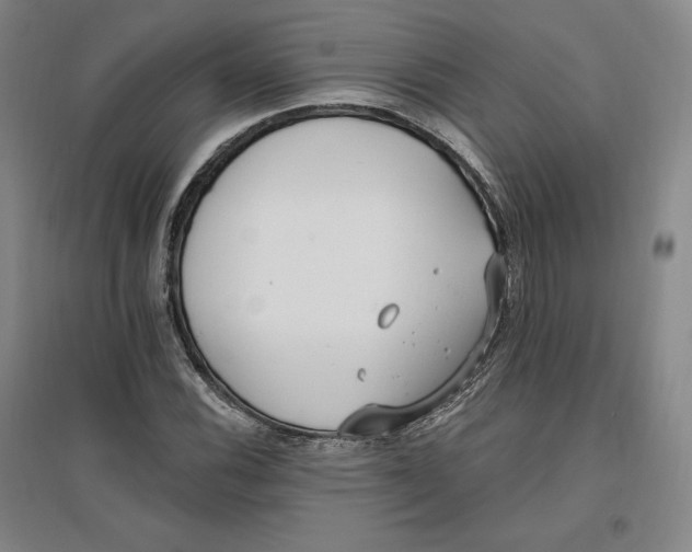 X0000096971116200802291115