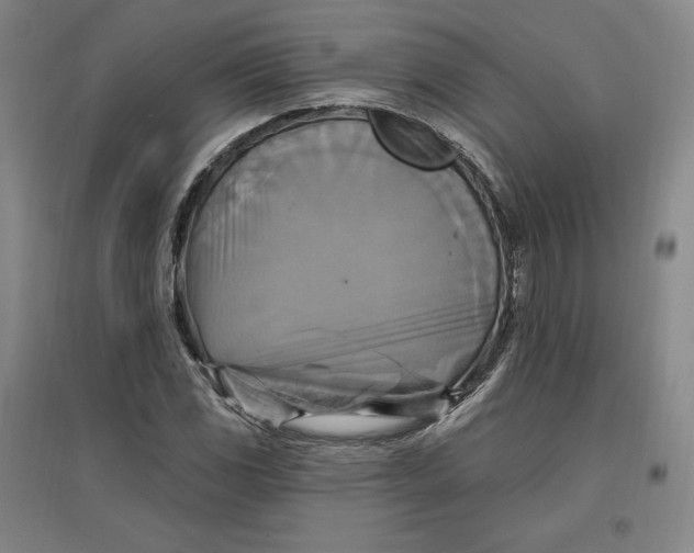 X0000096971117200802291115