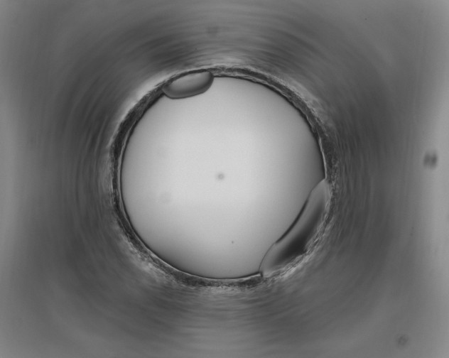 X0000096971118200802291115