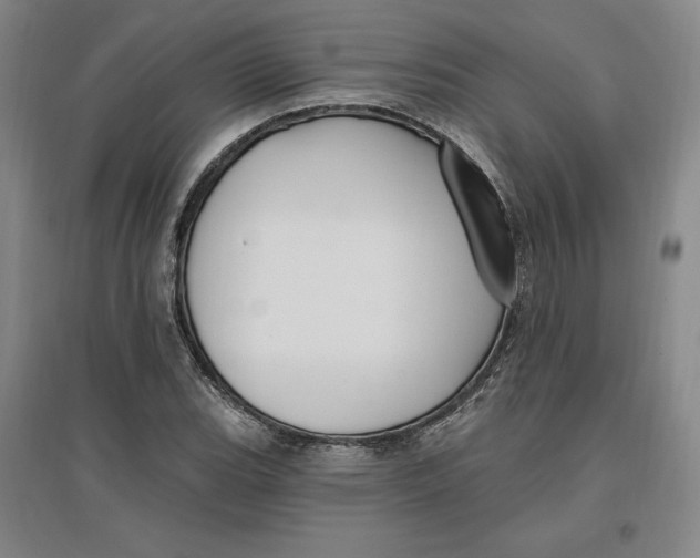 X0000096971119200802291115