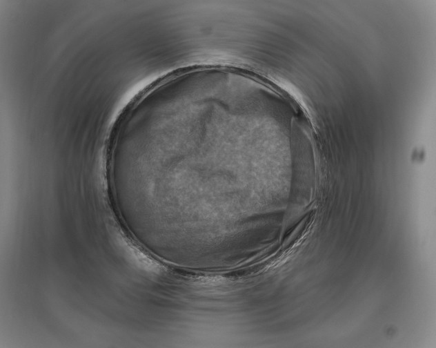 X0000096971120200802291115