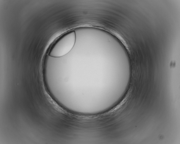 X0000096971122200802291115