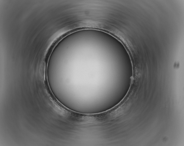 X0000096971123200802291115