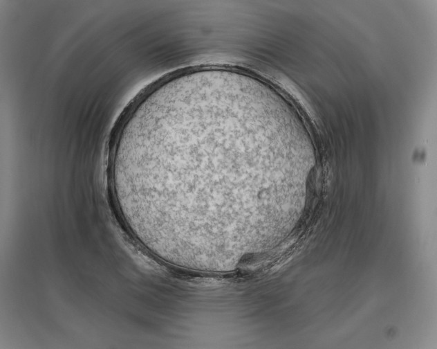 X0000096971124200802291115