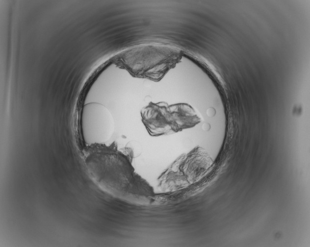 X0000096971125200802291115