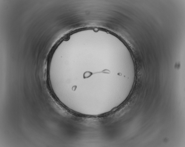 X0000096971126200802291115