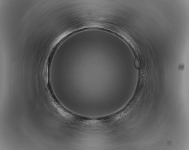 X0000096971127200802291115