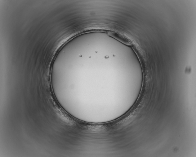 X0000096971129200802291115