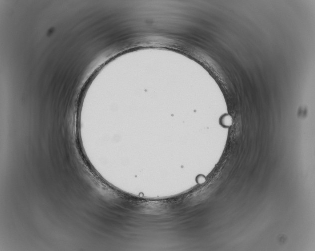 X0000096971130200802291115