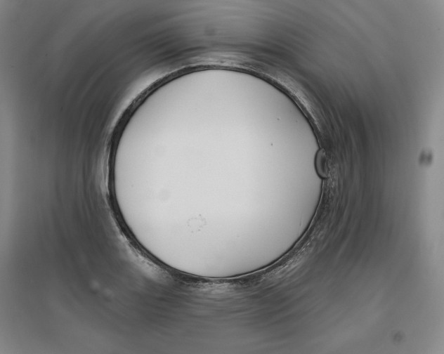 X0000096971131200802291115