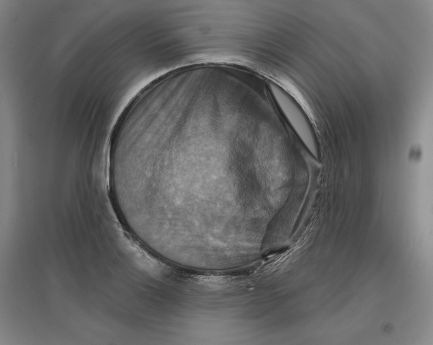 X0000096971132200802291115