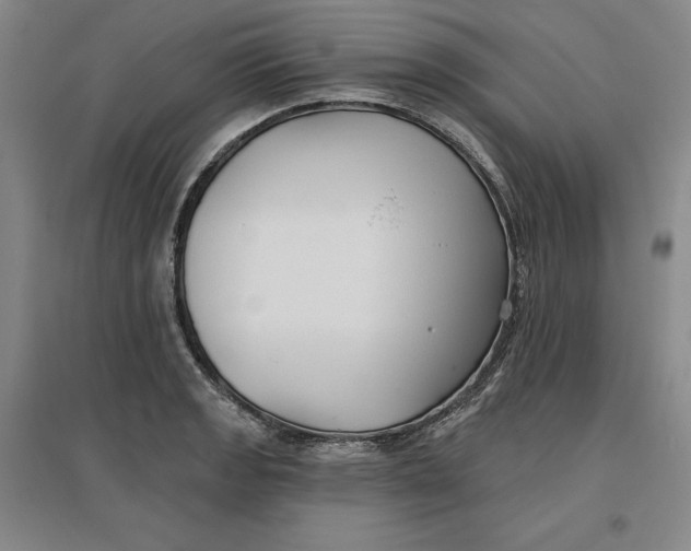 X0000096971133200802291115