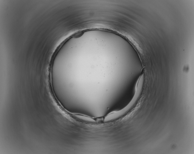 X0000096971134200802291115