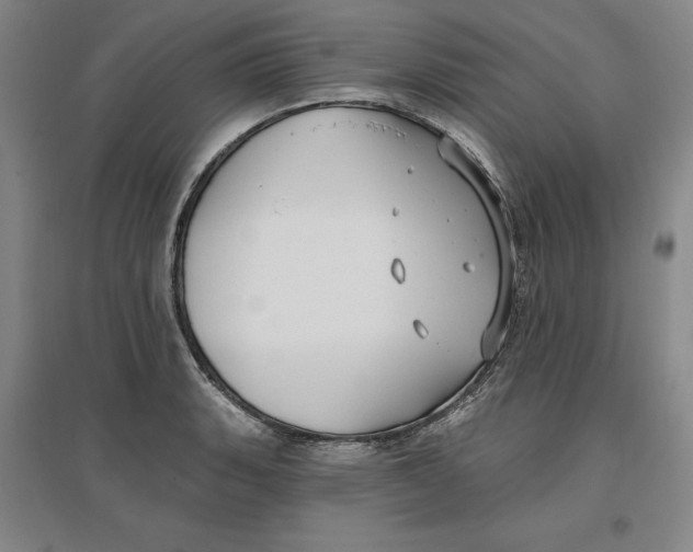 X0000096971135200802291115