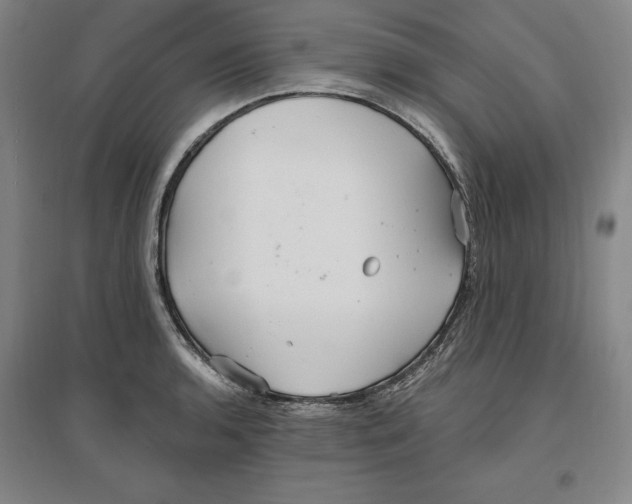 X0000096971136200802291115