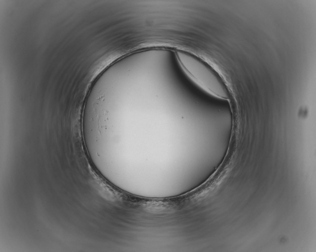 X0000096971137200802291115