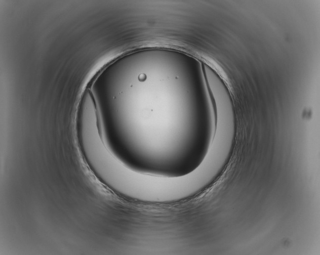 X0000096971138200802291115