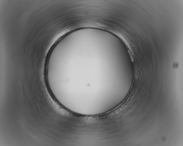 X0000096971139200802291115