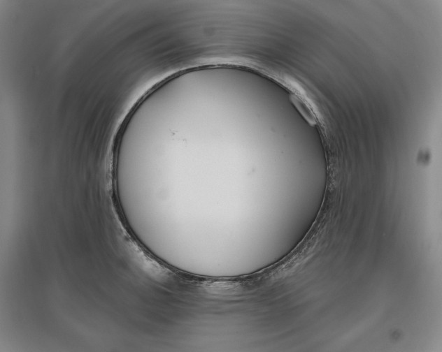 X0000096971140200802291115