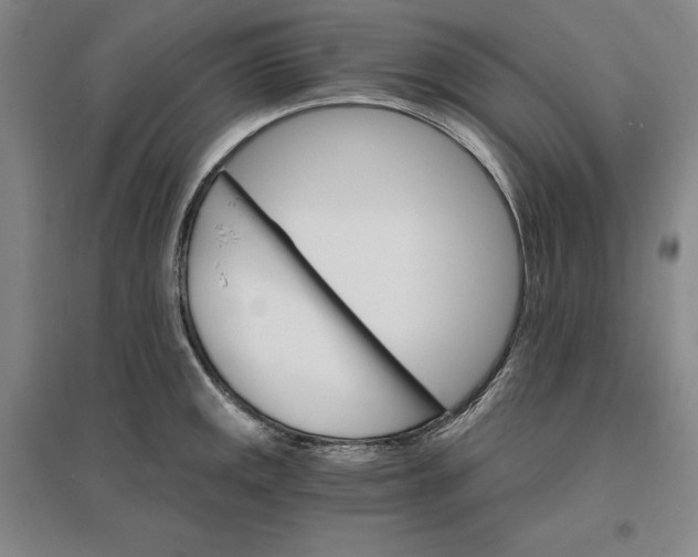 X0000096971141200802291115