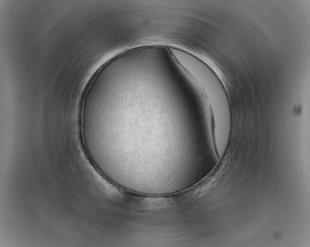 X0000096971142200802291115