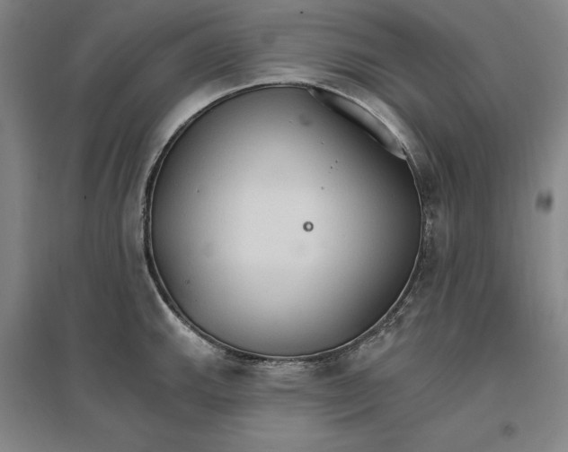 X0000096971143200802291115