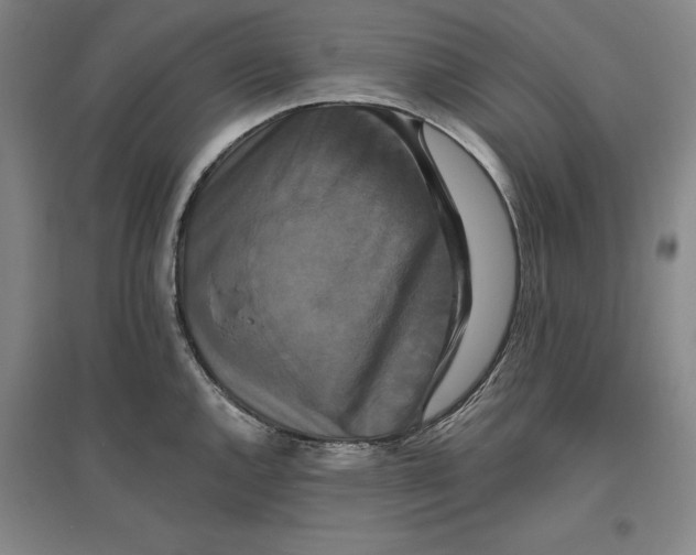 X0000096971144200802291115