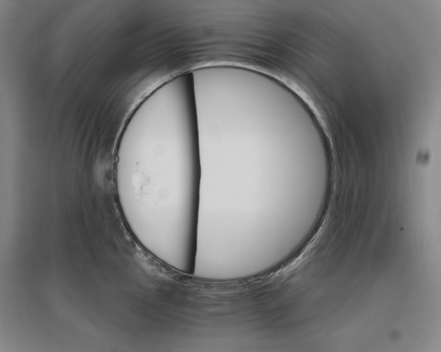 X0000096971145200802291115